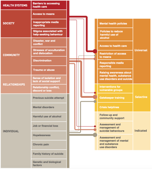 risk factors and interventions